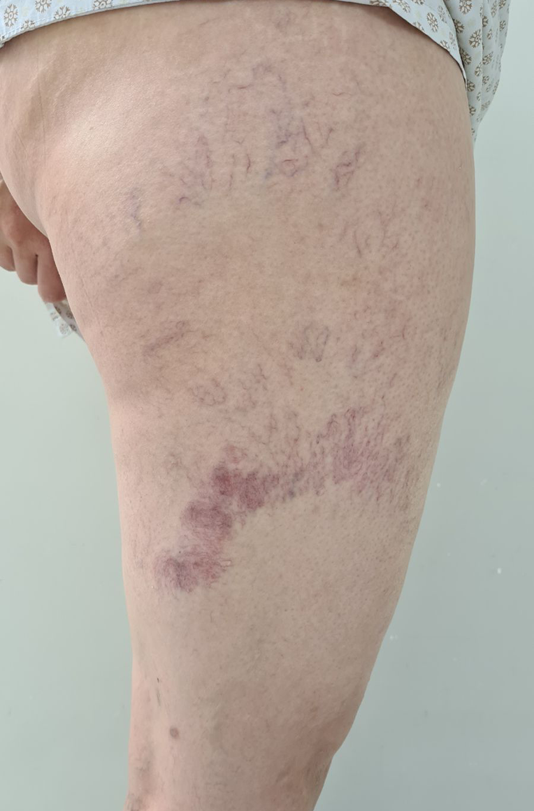 WhatsApp Image 2026-03-03 at 15.535